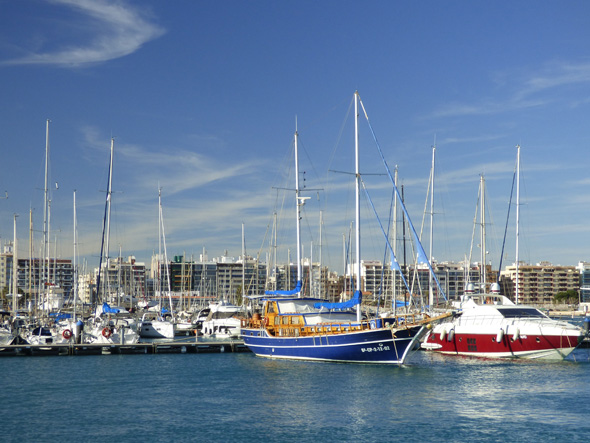 干货!哪些货物是不能办理集装箱海...